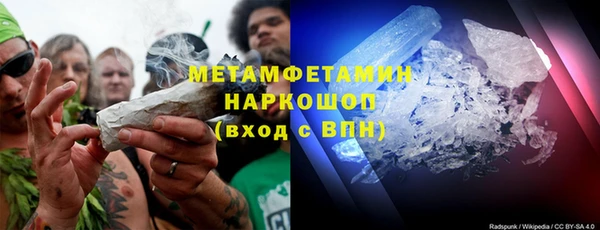 прущие грибы Дмитриев
