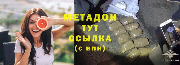 прущие грибы Дмитриев