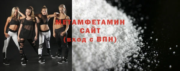прущие грибы Дмитриев