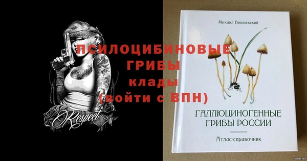 прущие грибы Дмитриев