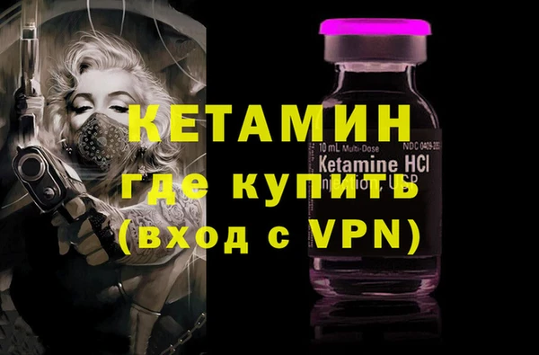 прущие грибы Дмитриев