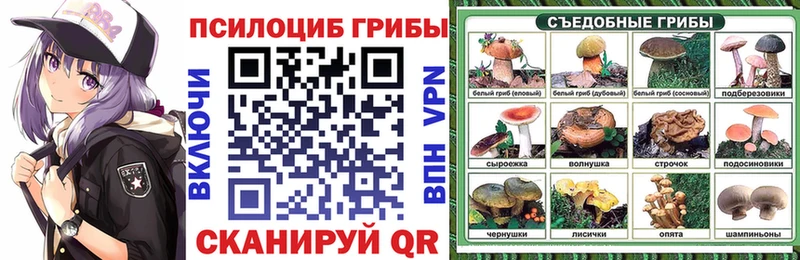 Псилоцибиновые грибы Psilocybine cubensis Купить закладки Певек